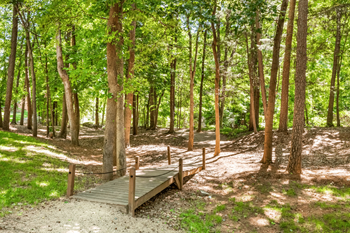A wooden bridge crosses a gravel path in a green forest at Paces Pointe Apartment Homes, North Carolina